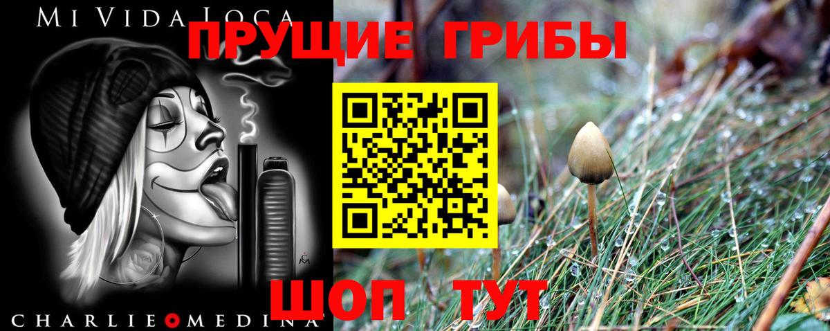 Галлюциногенные грибы MAGIC MUSHROOMS  Вход с VPN  Галлюциногенные грибы ЛСД  Владивосток 